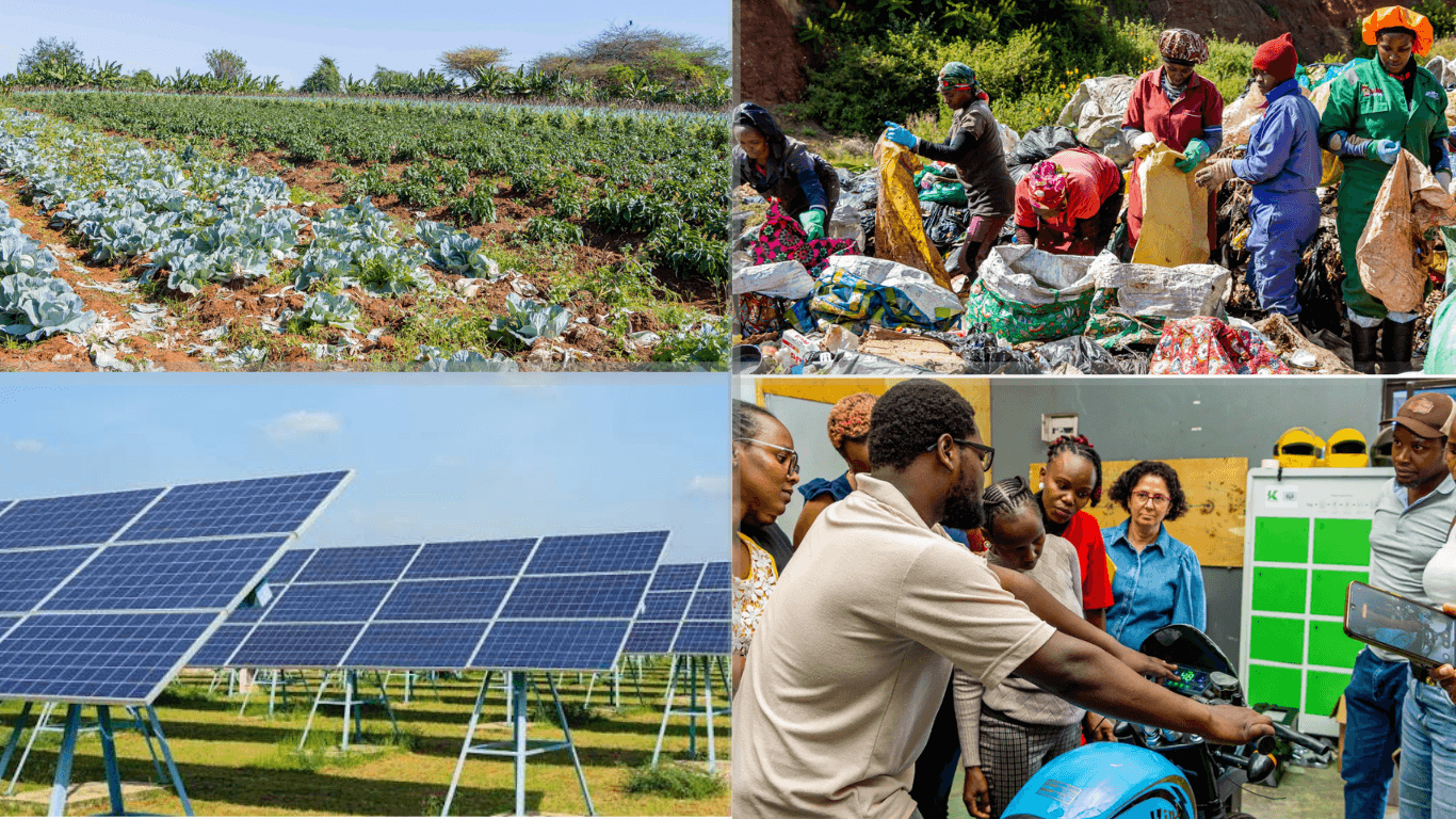 Climate enterprises working across agriculture, recycling, solar energy, and electric mobility